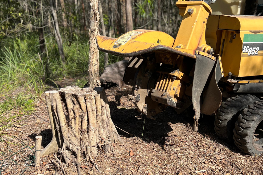 Stump Grinding Runaway Bay