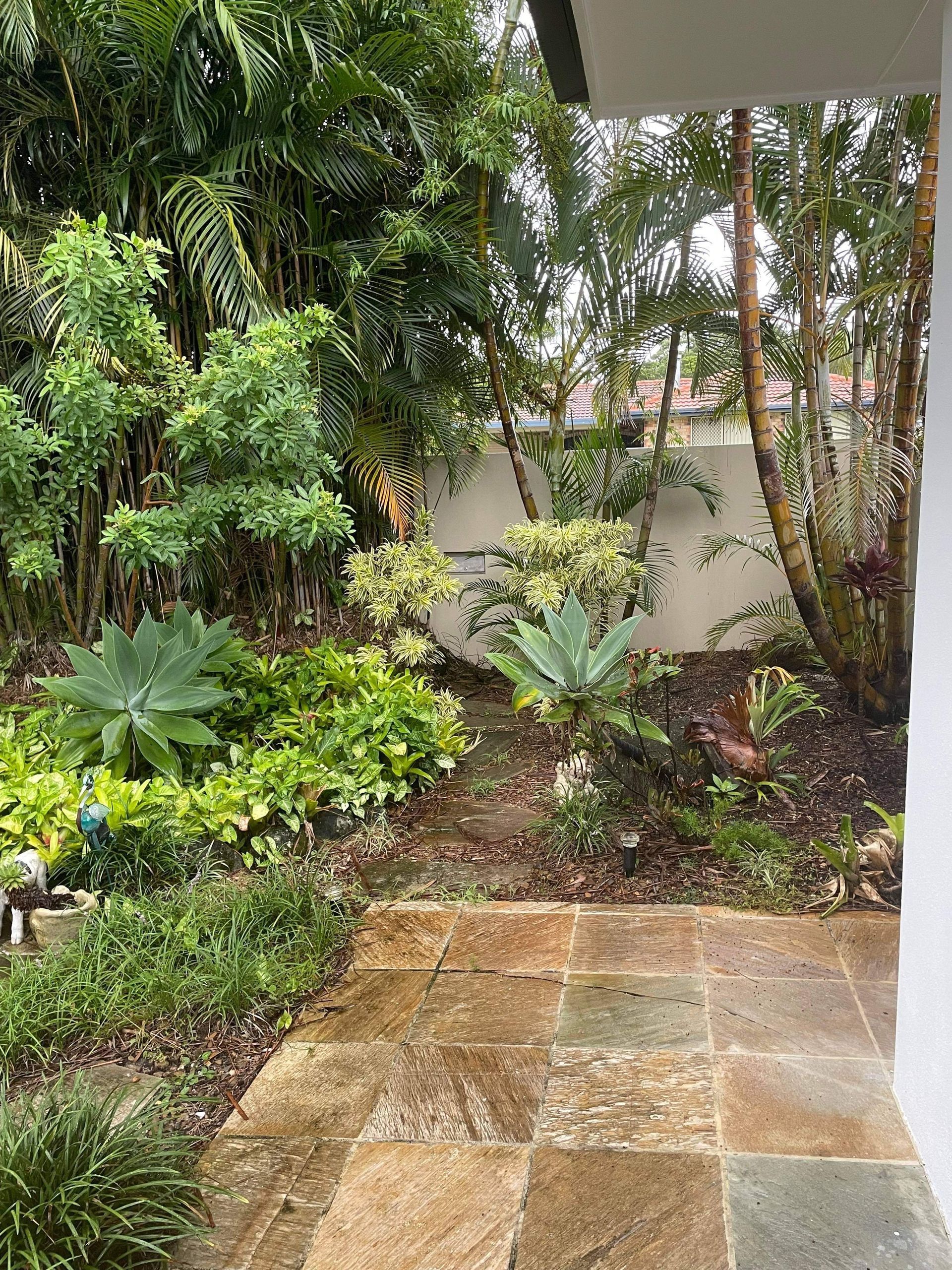 Palm Removal 