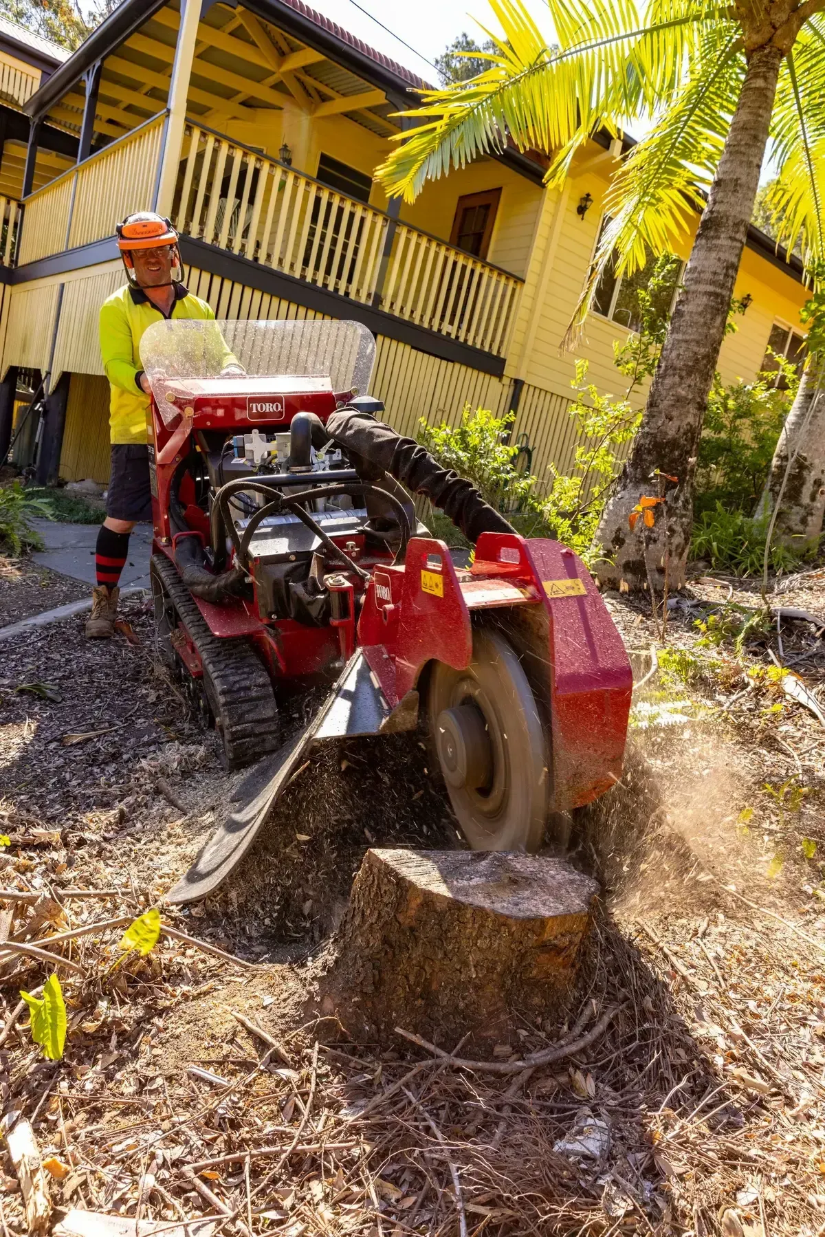 Healthy Trees, Beautiful Yard Gold Coast