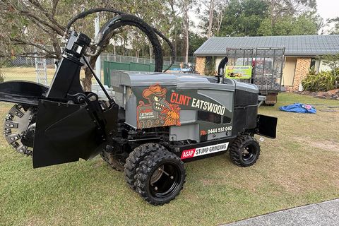 Asap stump grinding in upper coomera