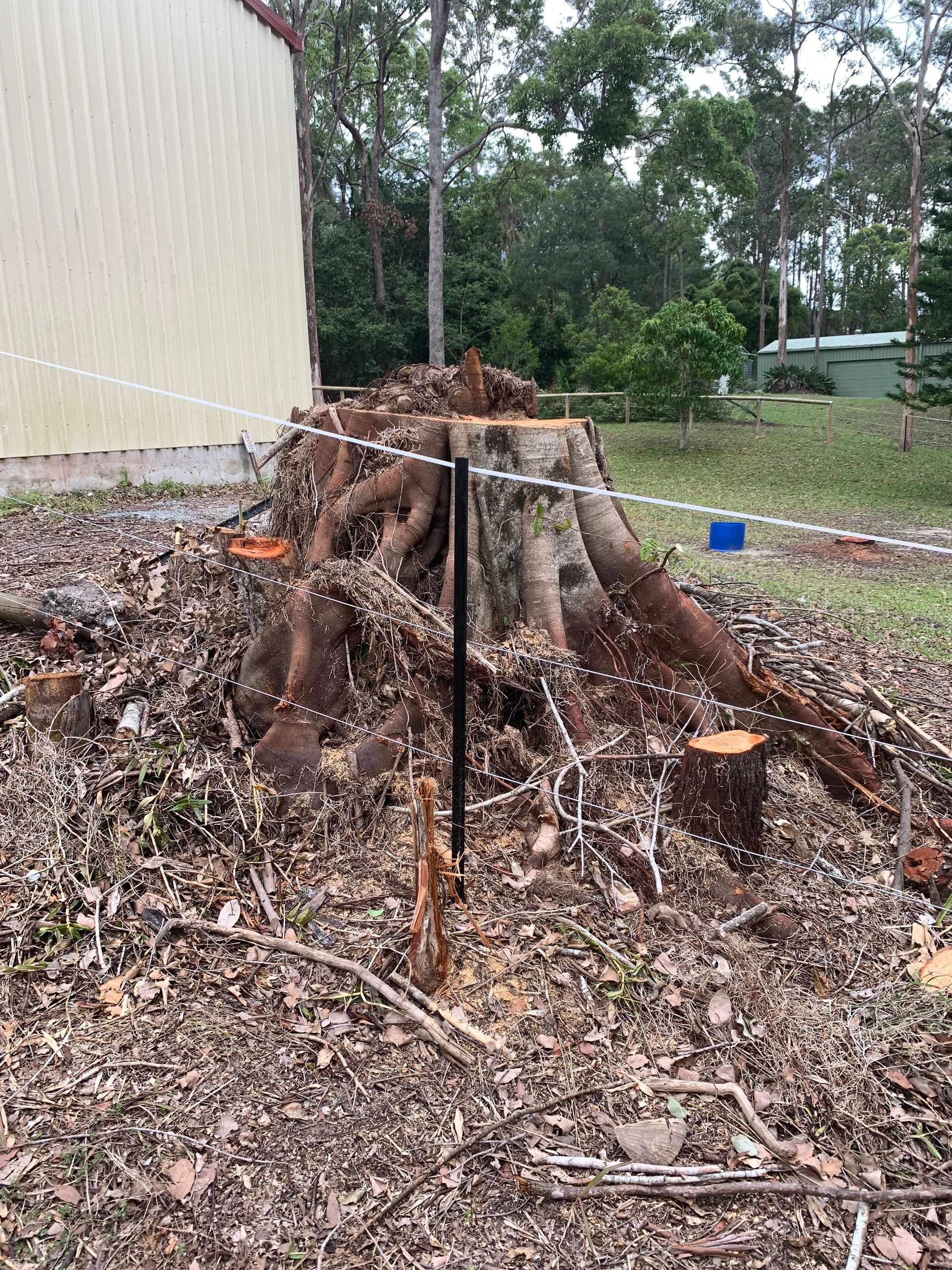 stump grinding Gold Coast