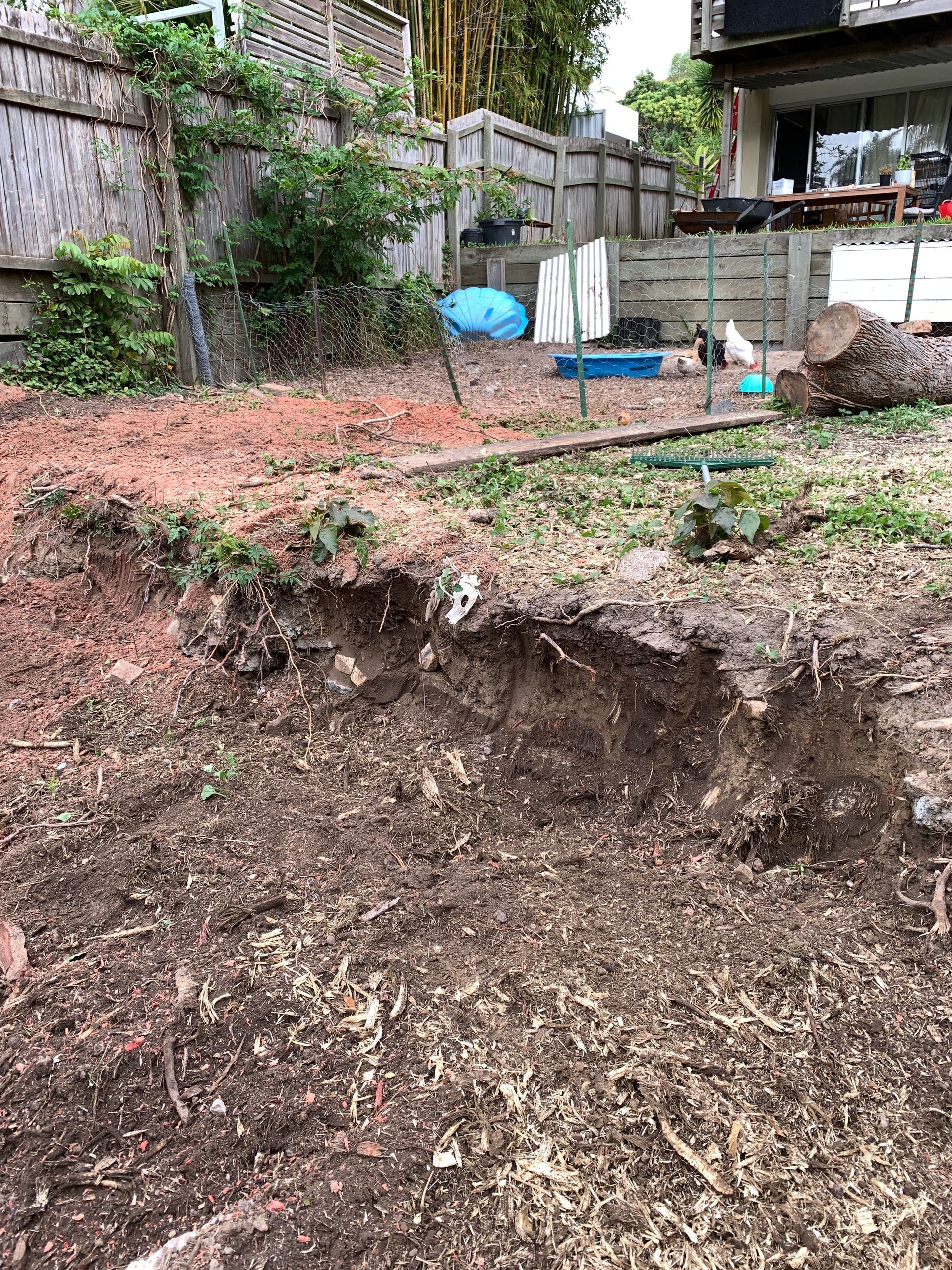 professional stump grinders