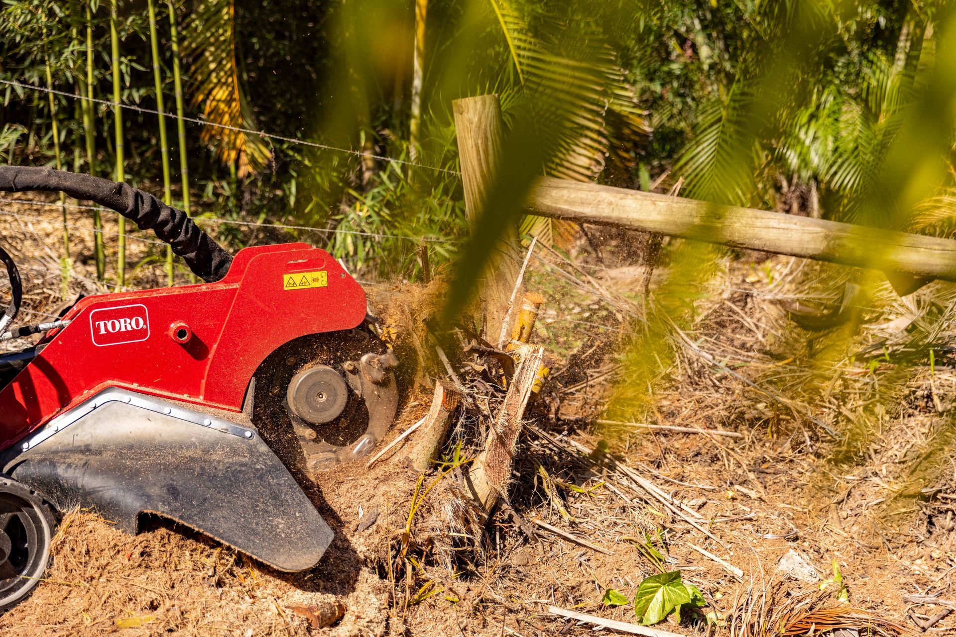 residential stump removal services