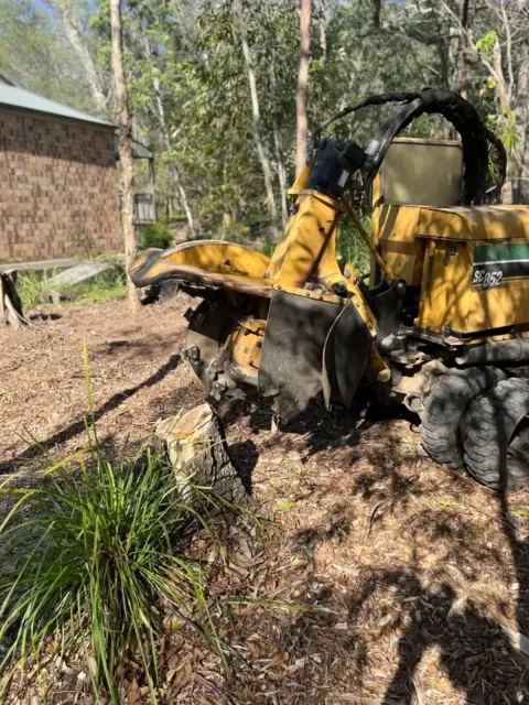 Asap stump grinding in Boonah