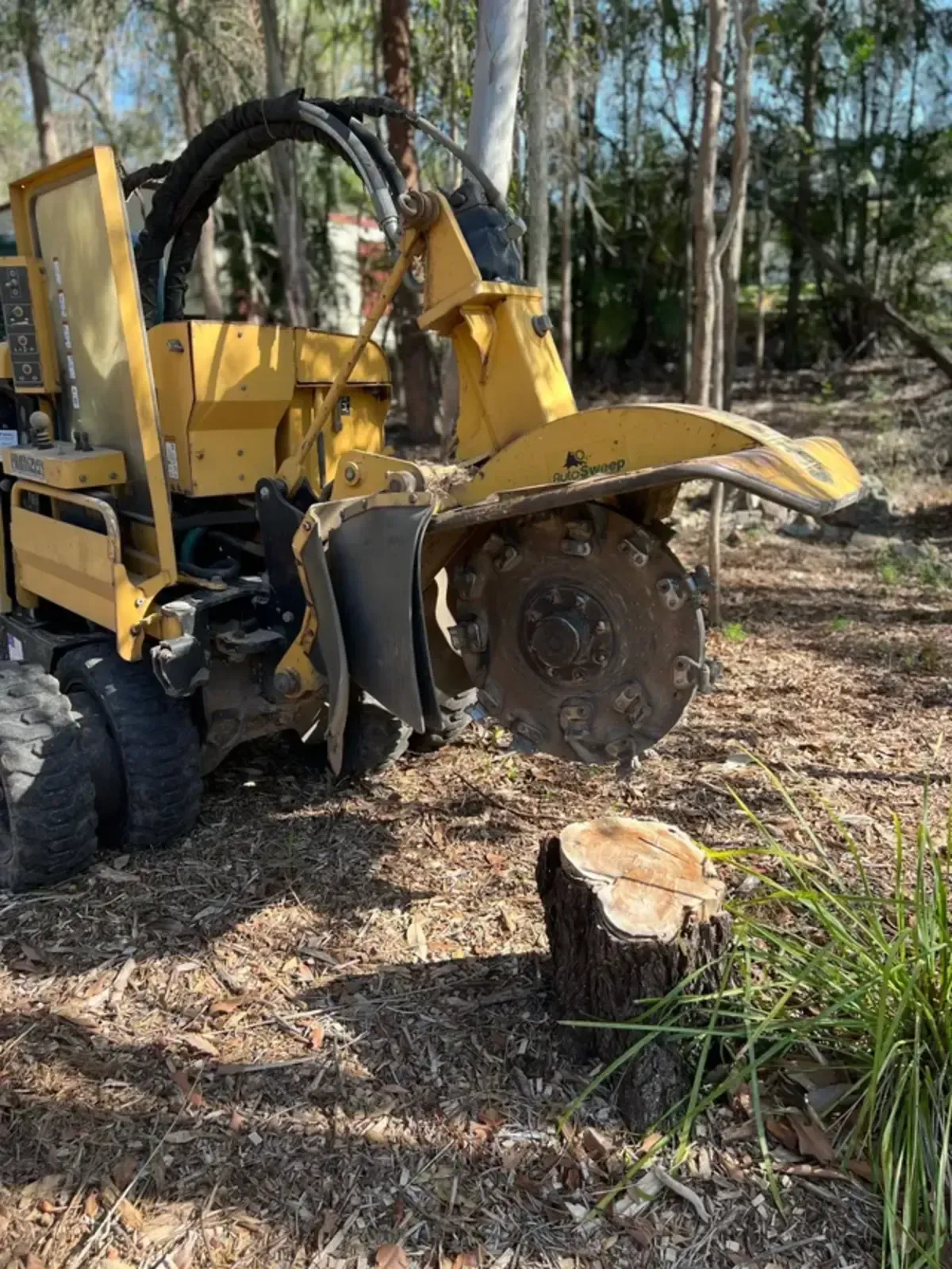 residential stump removal services