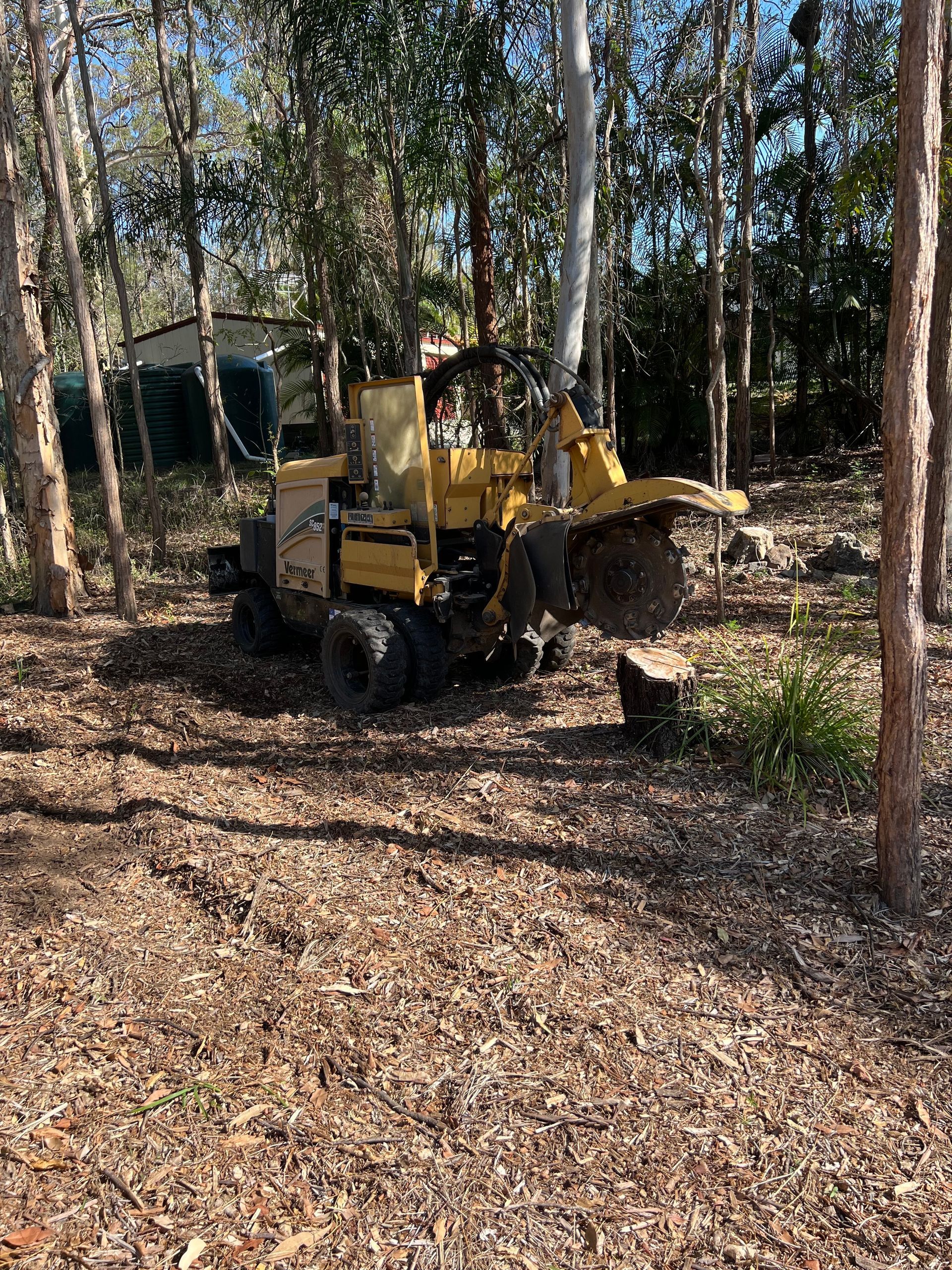 commercial stump grinding specialists