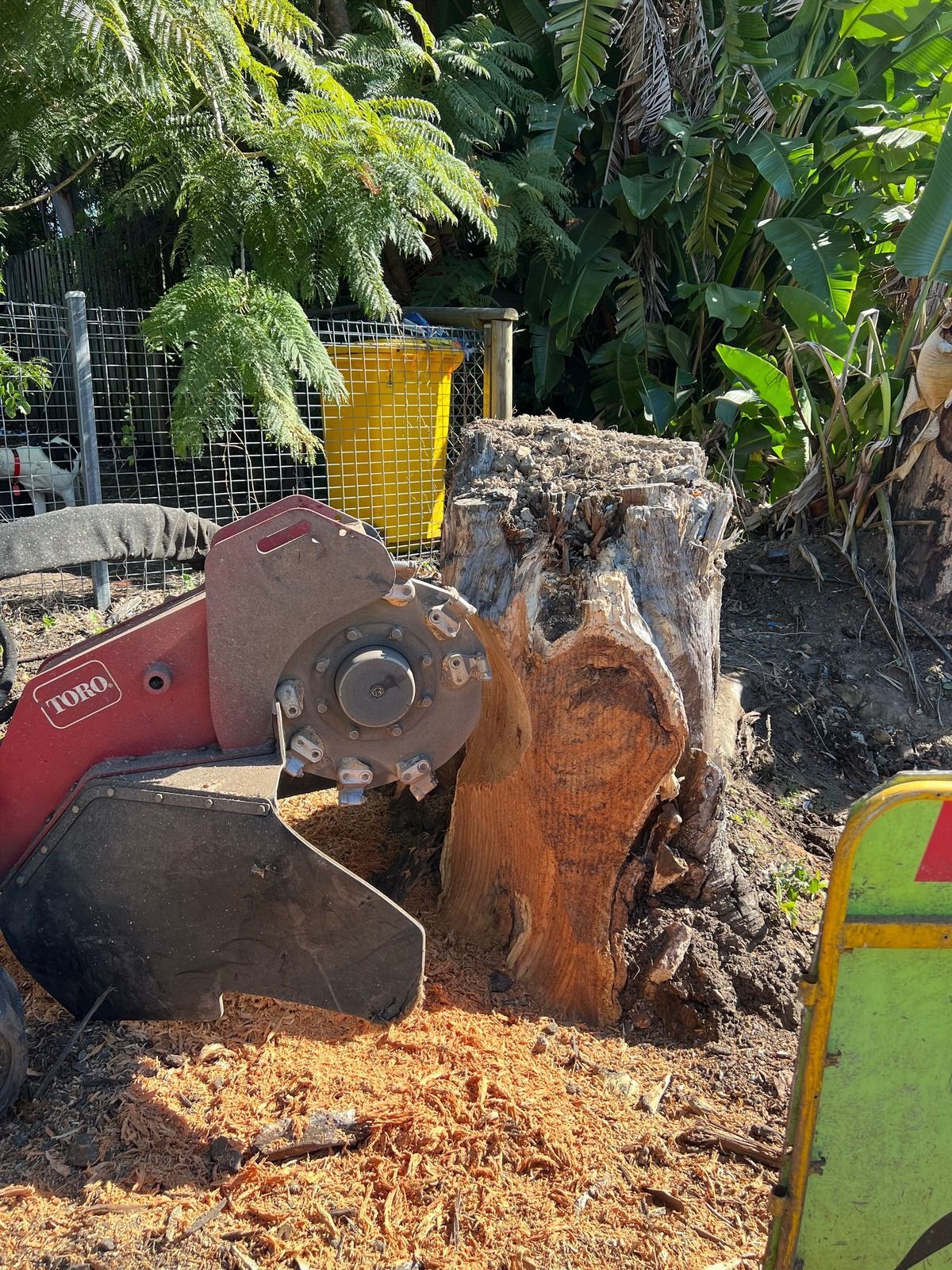 stump grinding Gold Coast