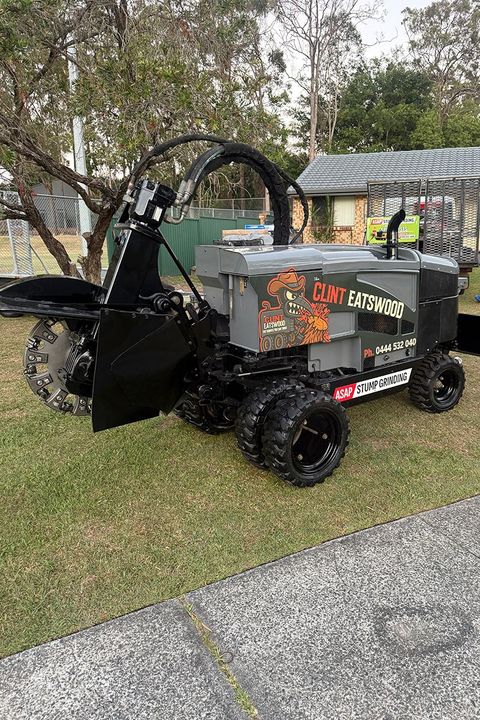 Asap stump grinding in helensvale