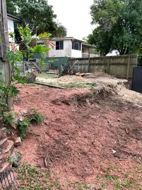 residential stump removal services