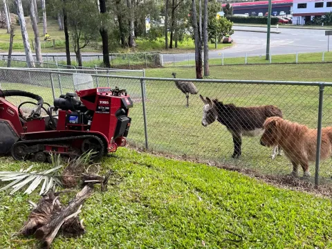 professional stump grinders