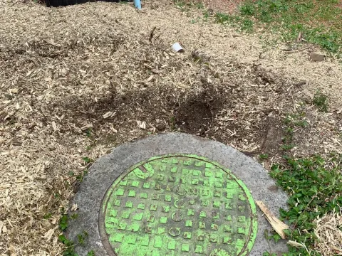 professional stump grinders