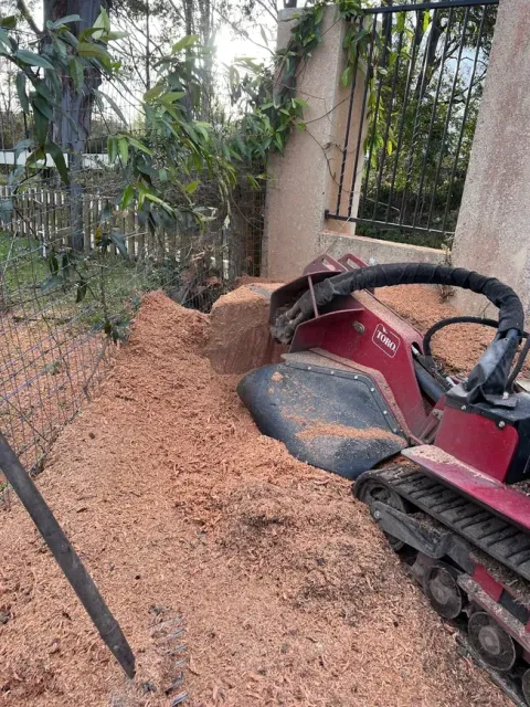 professional stump grinders