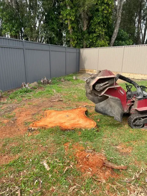 professional stump grinders