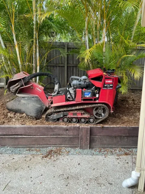 stump grinding Gold Coast