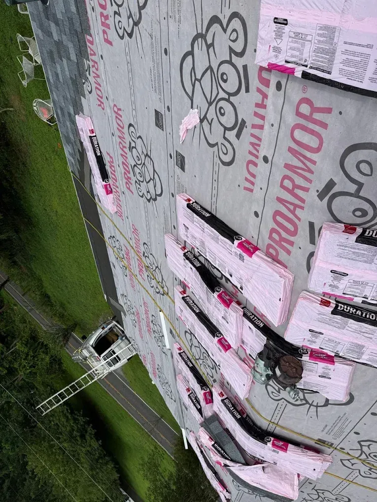 Graffiti-covered roadside wall with a ladder leaning below, photographed at a tilt.