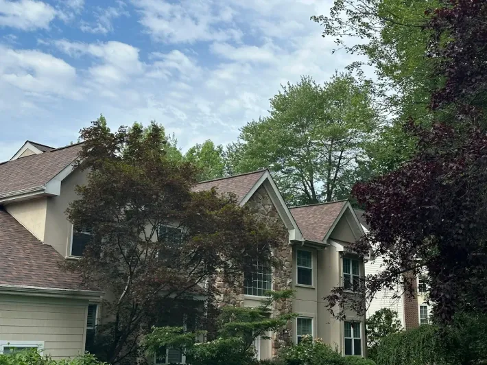 Residential houses surrounded by trees under a cloudy sky