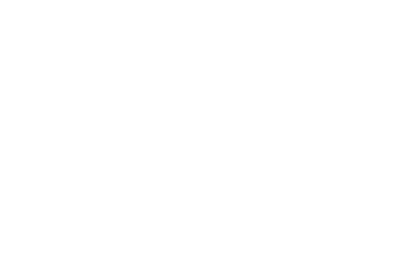 Mackie Electronic Systems logo