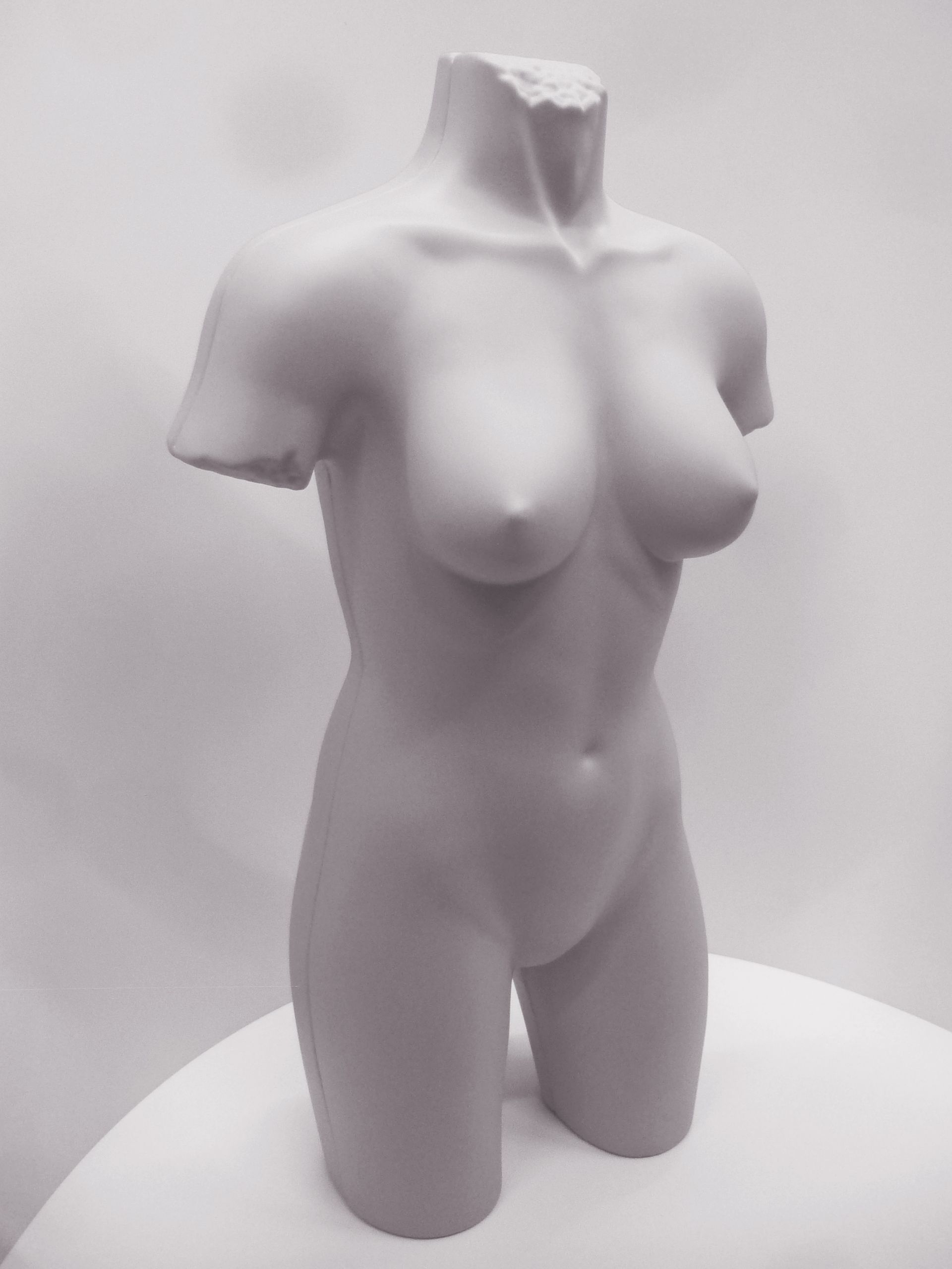 Korbus mit Hilfe von einer Kunststoff-Tiefziehform als 3D Figur