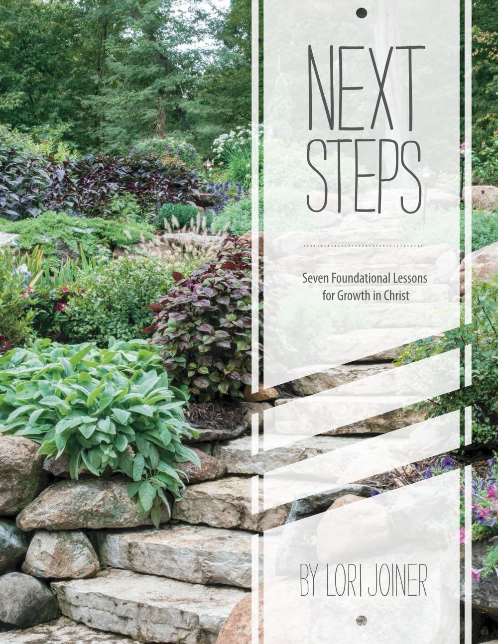A book cover with a stone wall and steps in a garden.