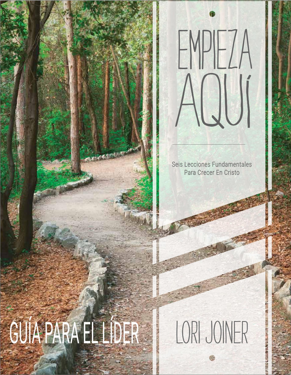 A book cover with a path going through a forest.