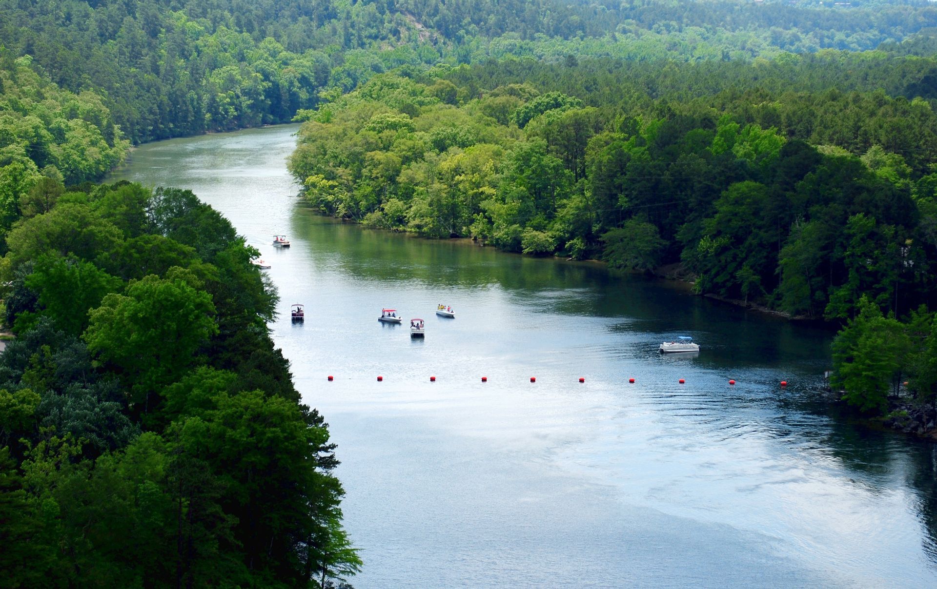 River winding through dense green forest under a bright sky, with small boats on the water
