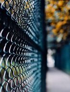 Close-up of a chain-link fence with blurred autumn colors and a pathway in the background