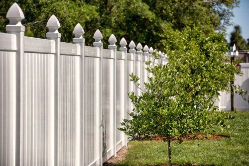 White vinyl fence with pointed posts beside a green lawn and small tree in a sunny yard