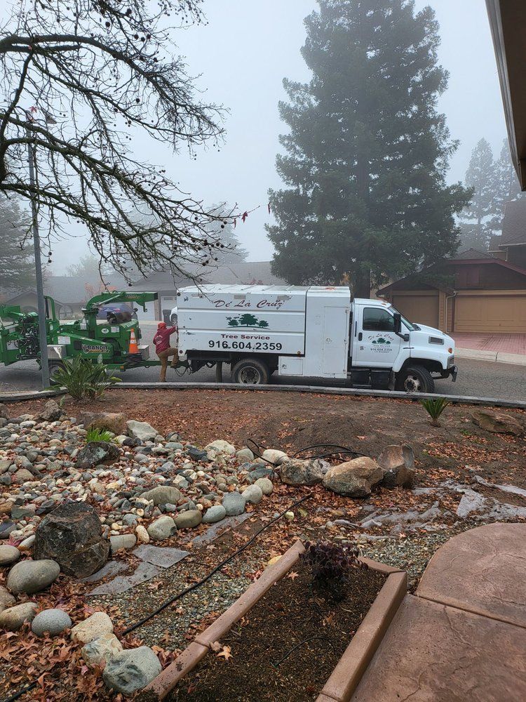 Workers loading a white utility truck in a foggy yard with rocks and trees