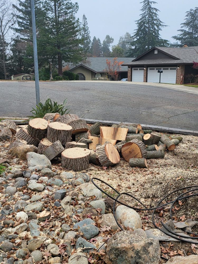 Pile of cut firewood and branches beside a gravel road in a suburban yard, with houses and trees in the background