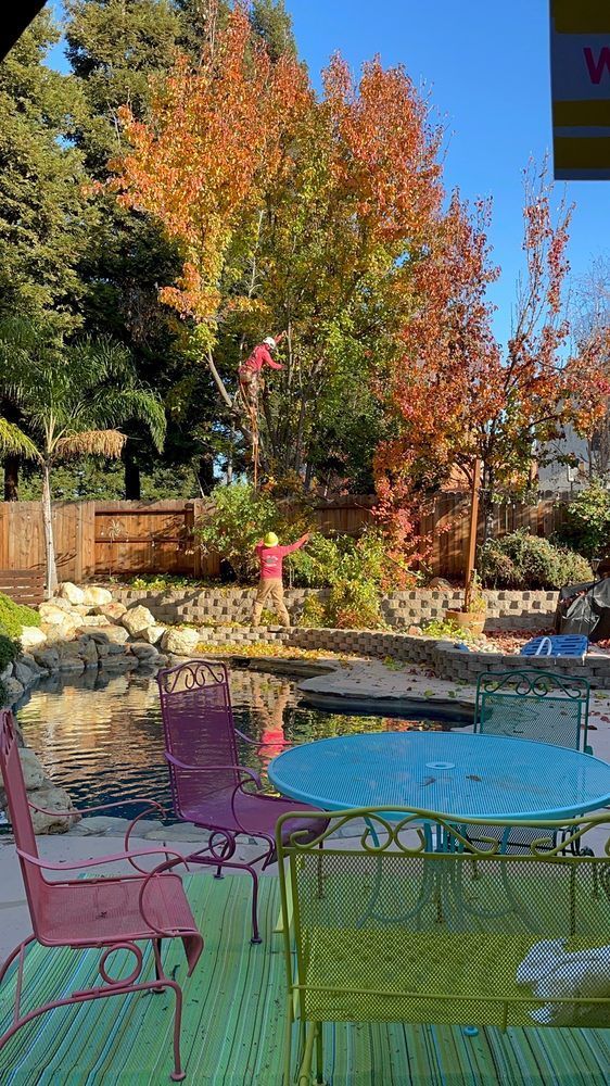 Colorful patio tables and chairs beside a swimming pool, with autumn trees and flowers in the background