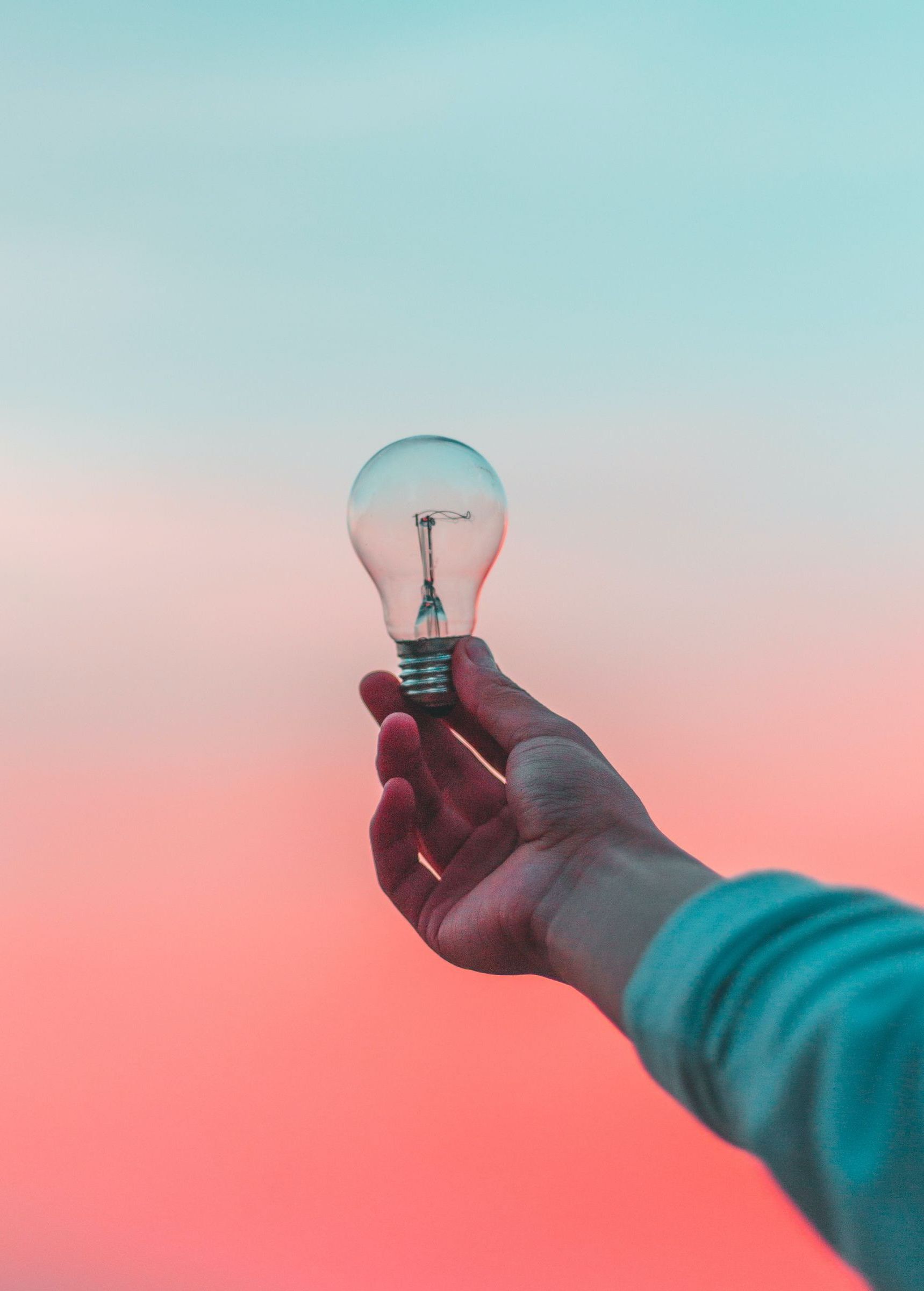 holding a lightbulb