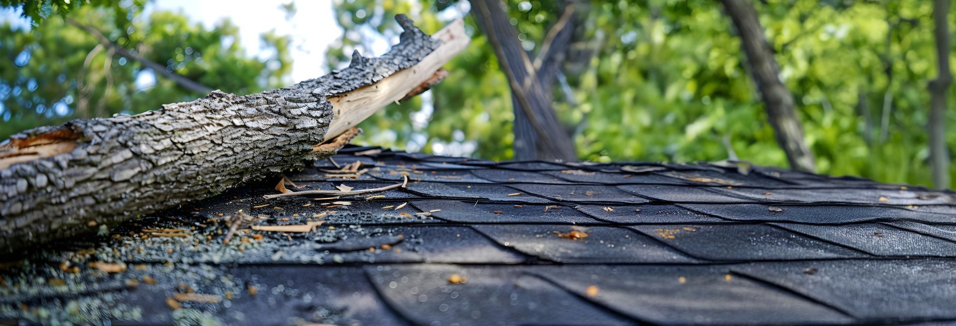 A tree branch is laying on top of a roof.
