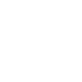 Nail Spa Excel White outline Logo