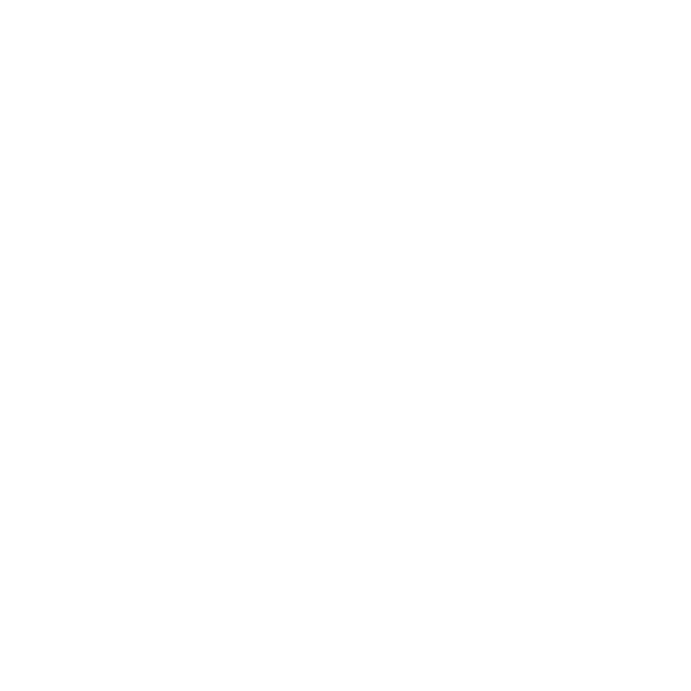 Nail Spa Excel White outline Logo