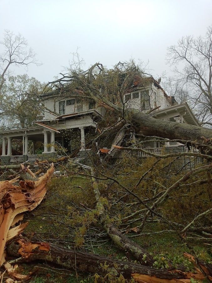 A large tree has fallen on top of a house.