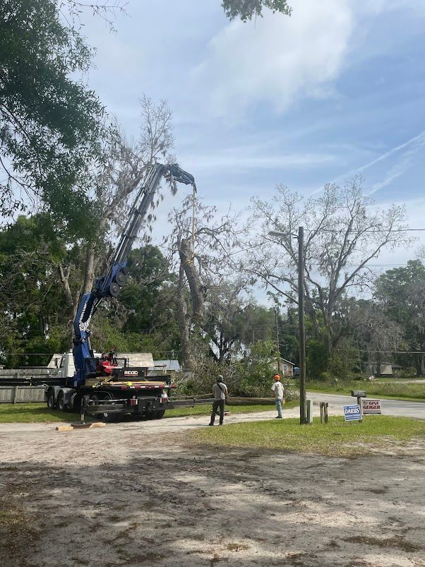 A crane is cutting down a tree in a parking lot.
