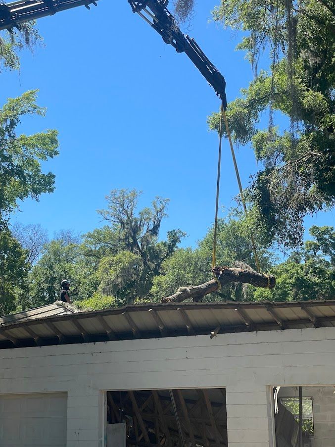 A crane is lifting a tree branch from the roof of a building