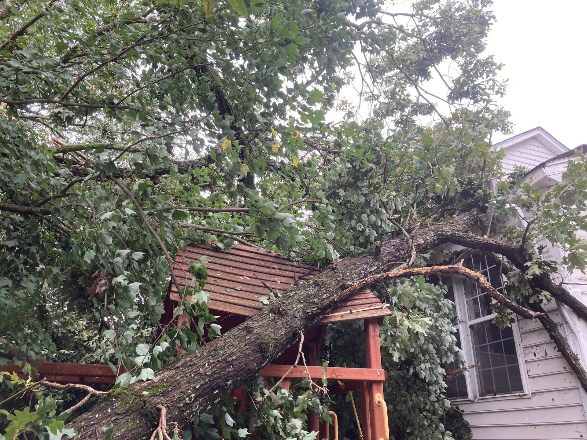 A crane is cutting a tree in front of a house.