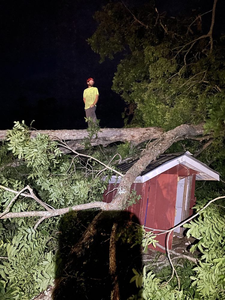 A man is standing on top of a tree that has fallen on a house.