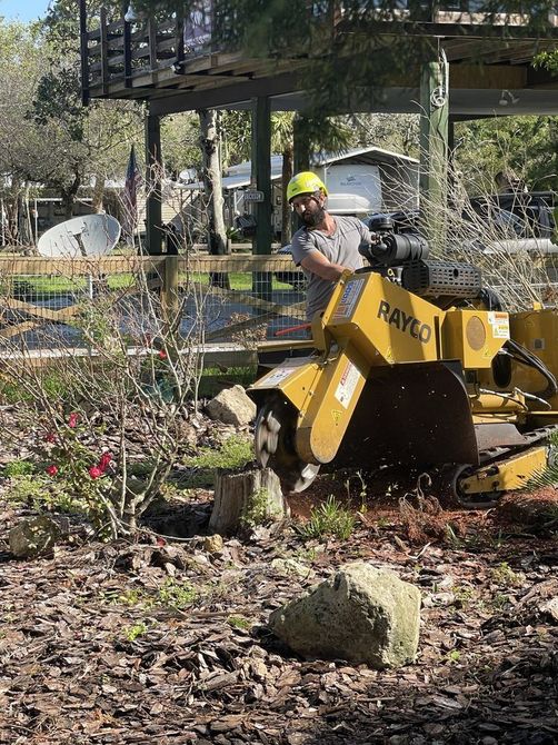 A man is using a stump grinder to remove a tree stump.