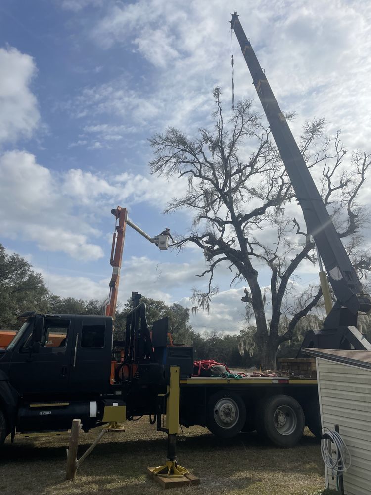 A truck with a crane attached to it is working on a tree.