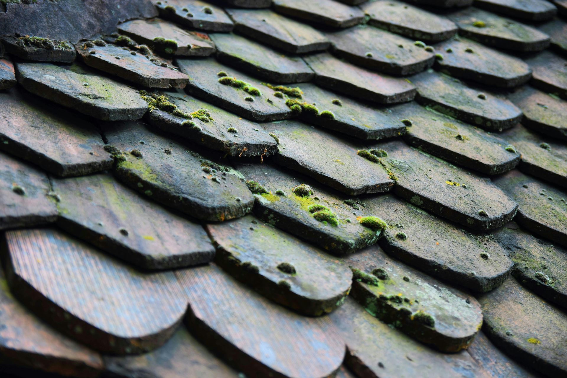 Close-up view of weathered, wooden roof shingles, some with green moss.