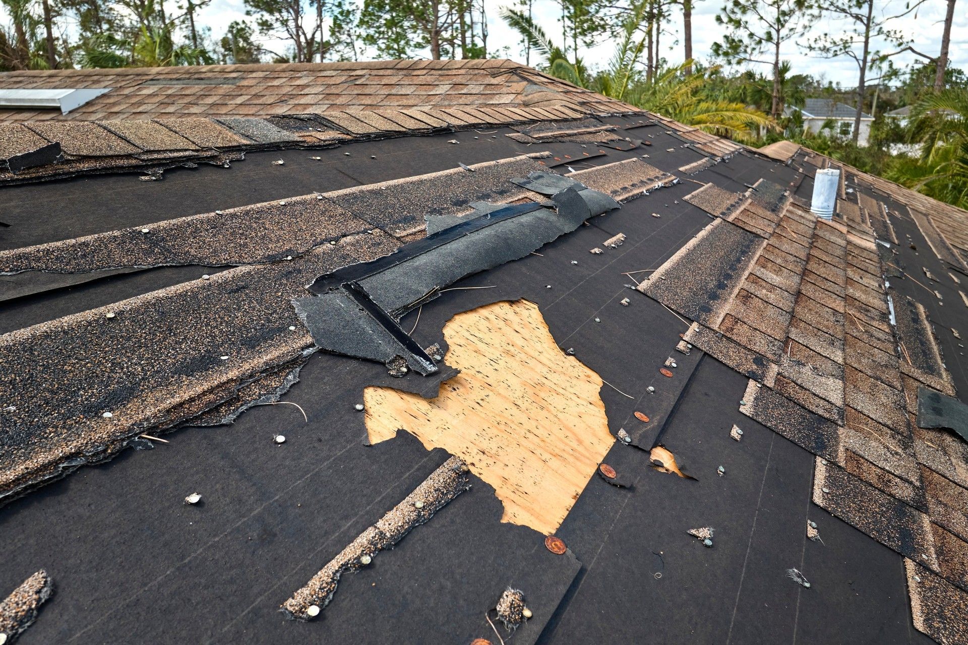 Damaged roof with missing shingles and exposed underlayment; outdoors.
