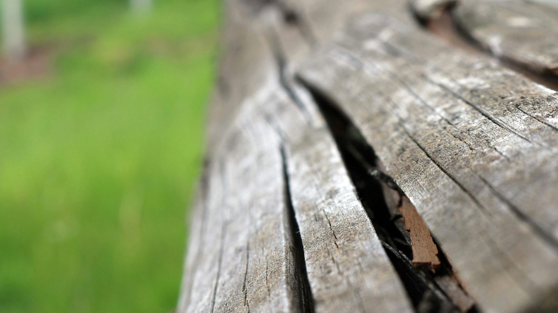 Close-up of weathered wooden surface, with a deep crack. Green, blurred background suggests a grassy area.