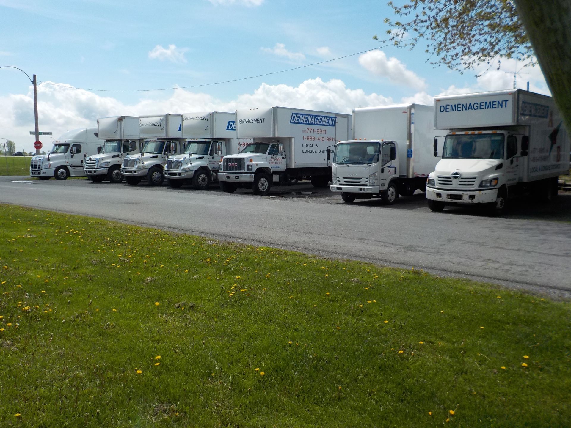 Une rangée de camions blancs garés sur l'asphalte à côté d'une zone herbeuse, sous un ciel bleu.