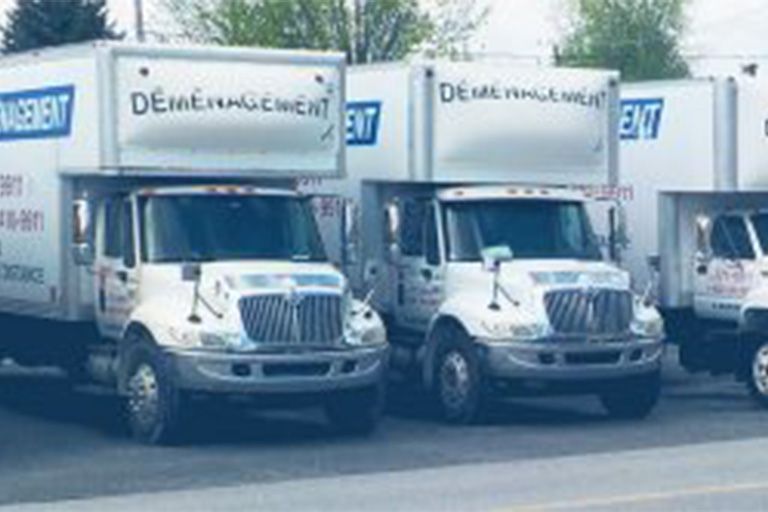 Camions de déménagement alignés, blancs avec l'inscription « Déménagement ».