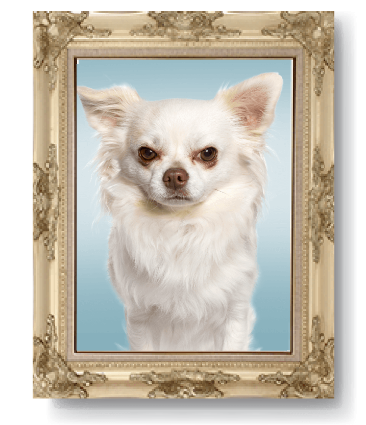 portrait of abuela's dog javier