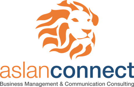 Aslan Connect logo with orange lion head icon and business management consulting text