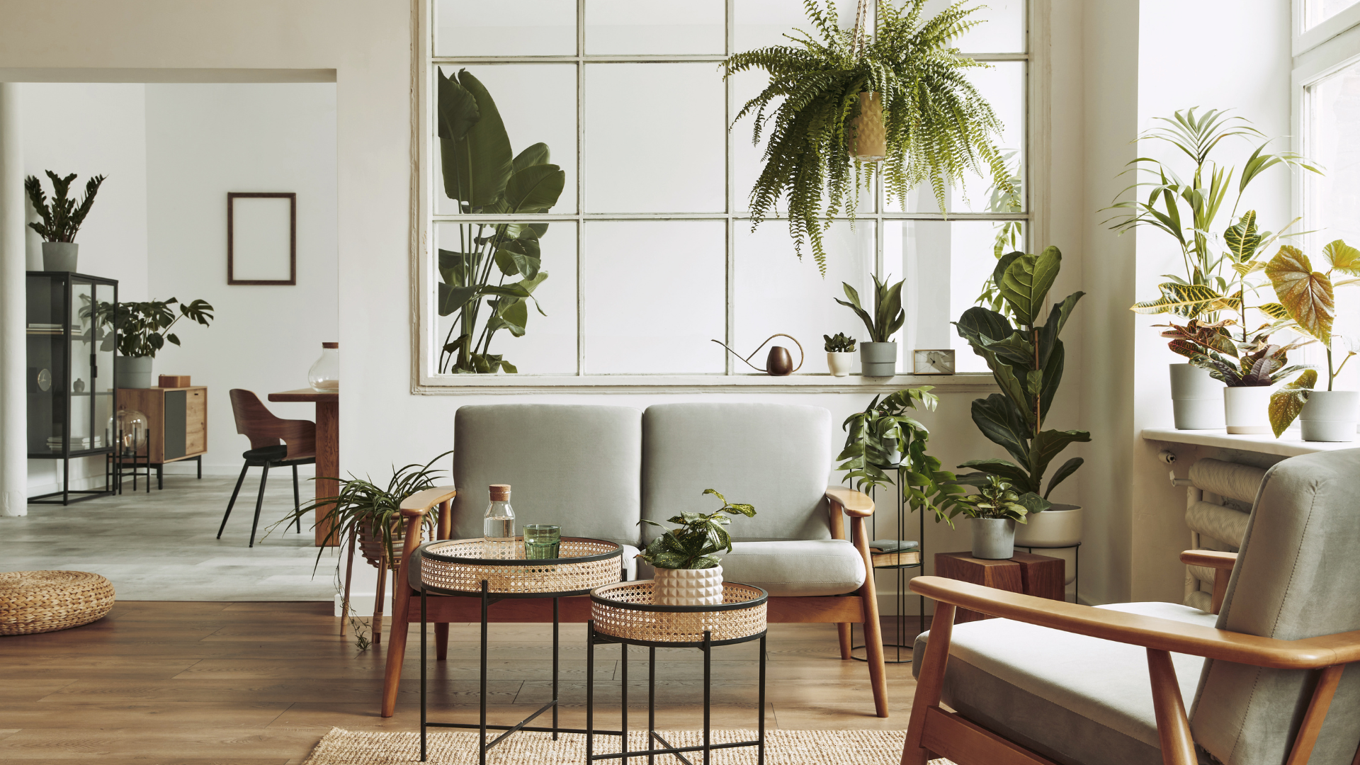 Interior Designer