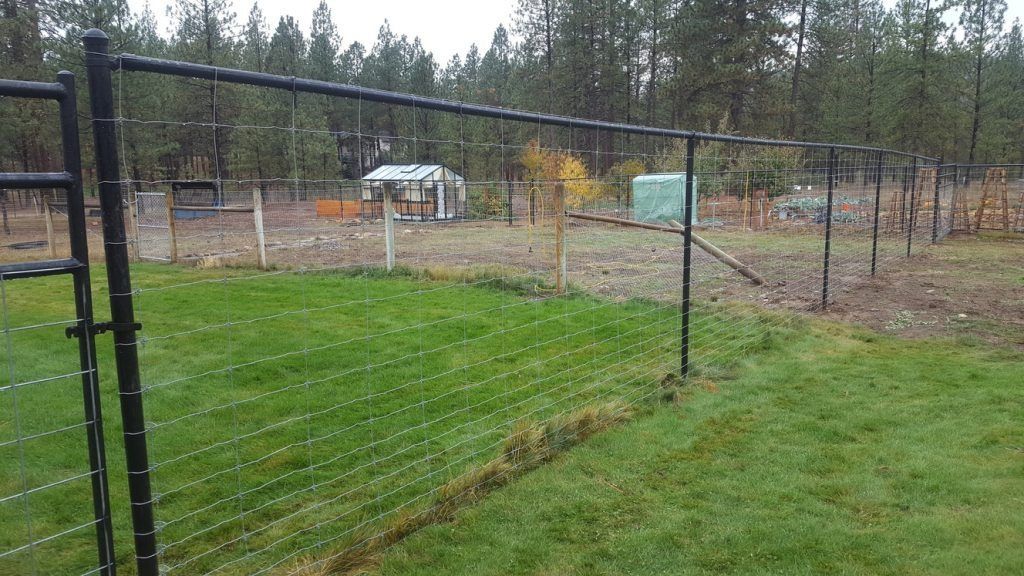 A barbed wire fence surrounds a lush green field.